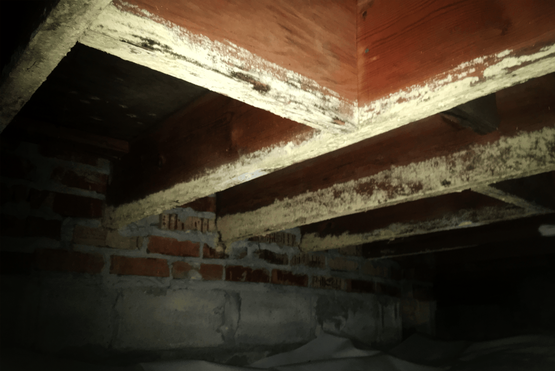 Mold in the Crawl Space Is My Health at Risk? Foundation Repair of